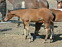 Artistic Bambino  -  Click On Image to enlarge