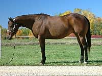 Downsize  -  Click On Image to enlarge and view her produce