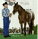 Recognitions In The Show Ring Link